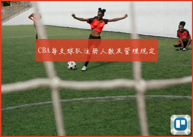 CBA每支球队注册人数及管理规定