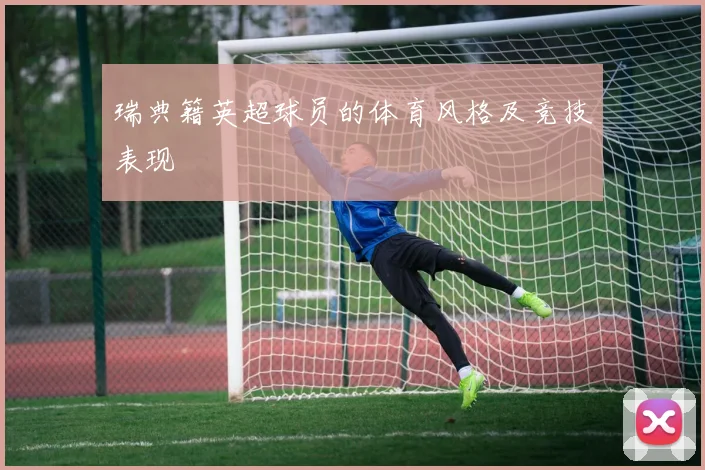 瑞典籍英超球员的体育风格及竞技表现