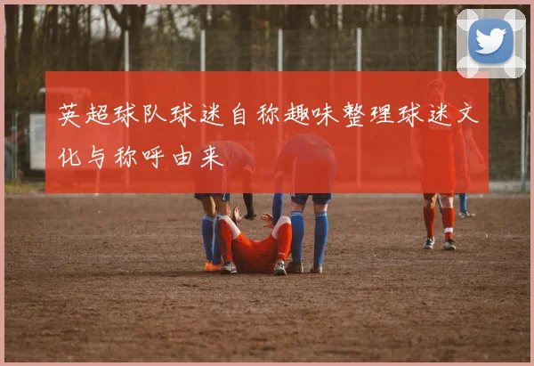 英超球队球迷自称趣味整理球迷文化与称呼由来