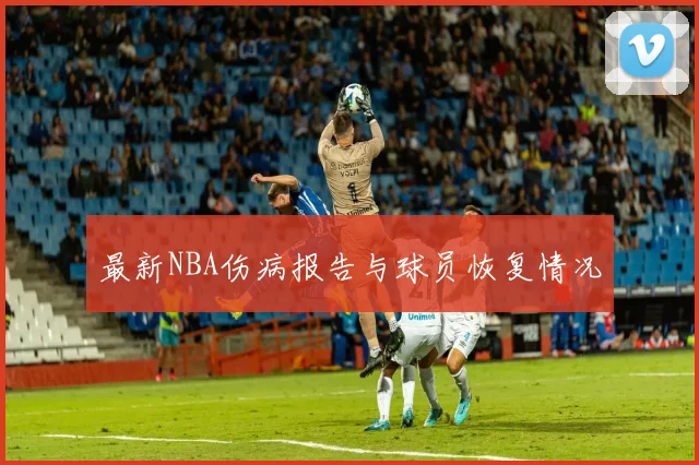 最新NBA伤病报告与球员恢复情况